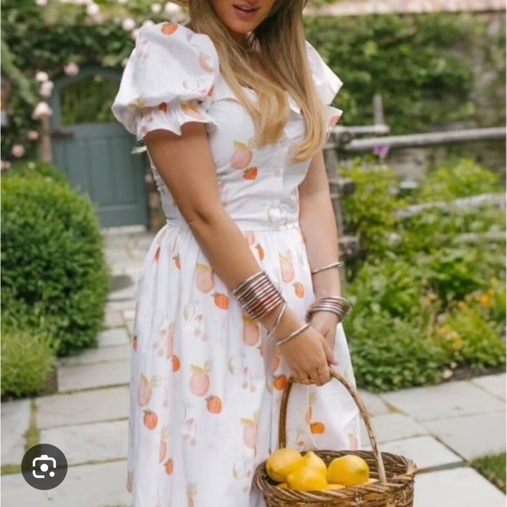 NWT Ivy City Co Fruit Medley Dress size 2 🍊 - Picture 5 of 7
